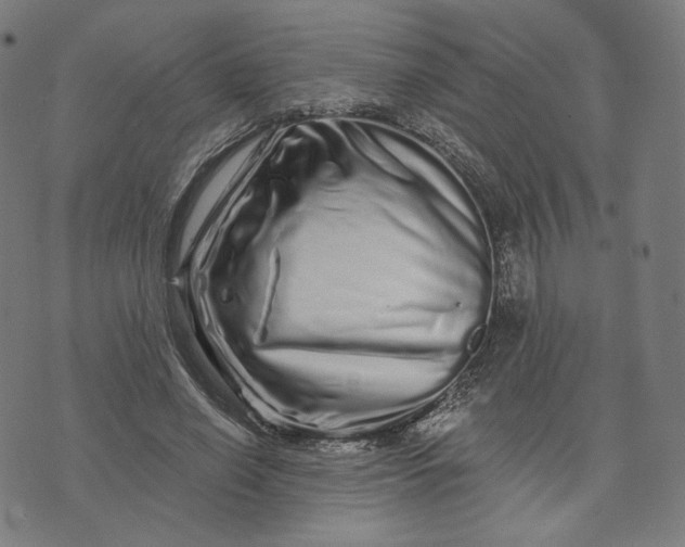 X0000074220638200609151622