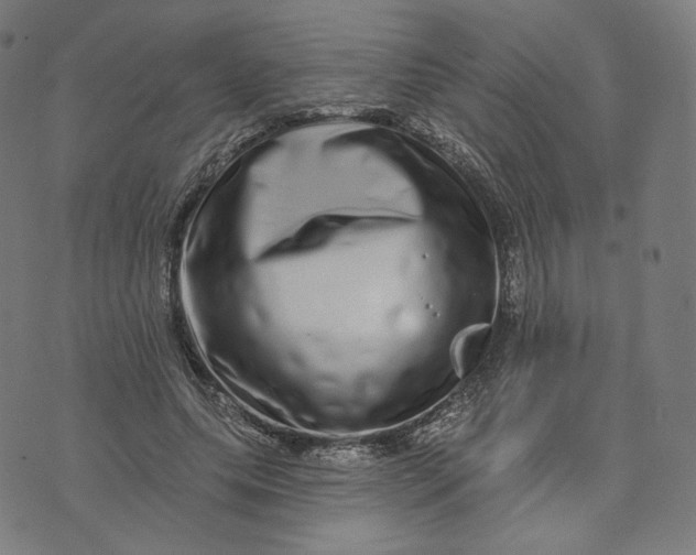 X0000074220639200609151622