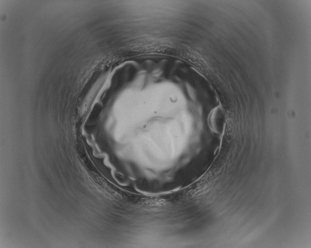 X0000074220642200609151622