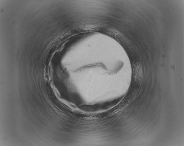 X0000074220644200609151622