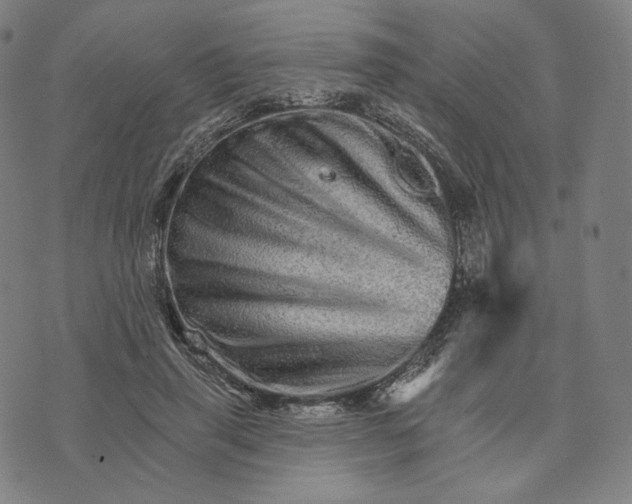 X0000074220645200609151622