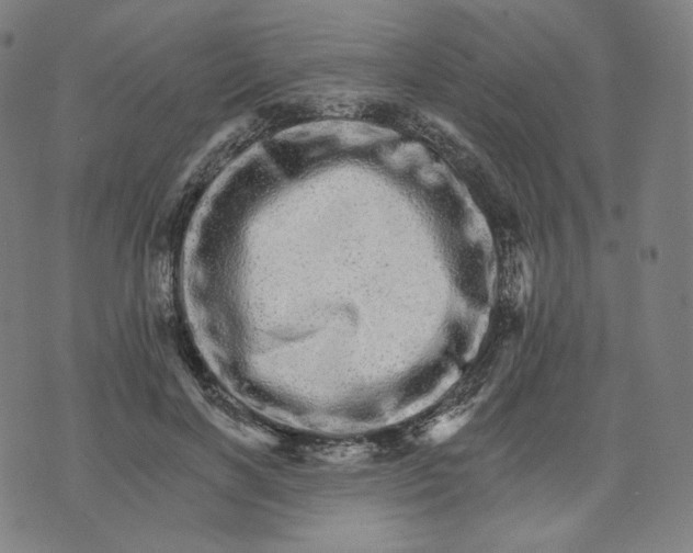 X0000074220646200609151622