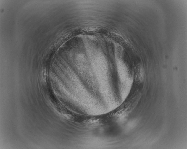 X0000074220647200609151622