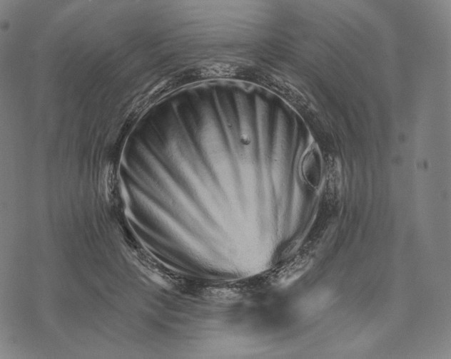 X0000074220649200609151622