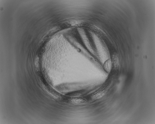 X0000074220650200609151622