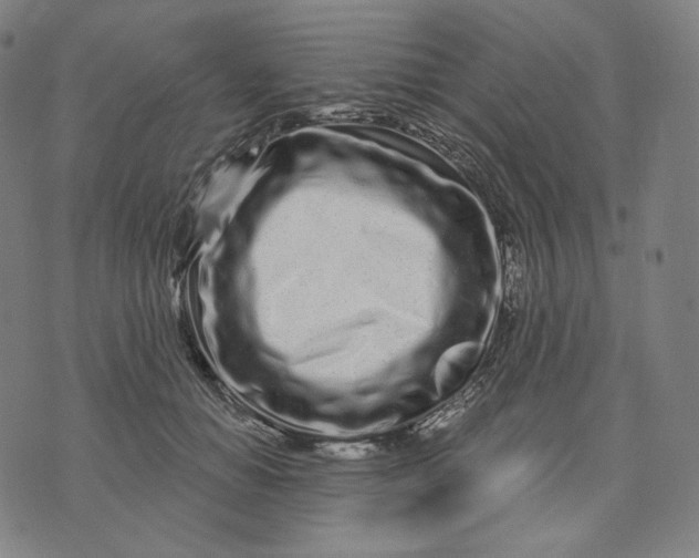 X0000074220654200609151622