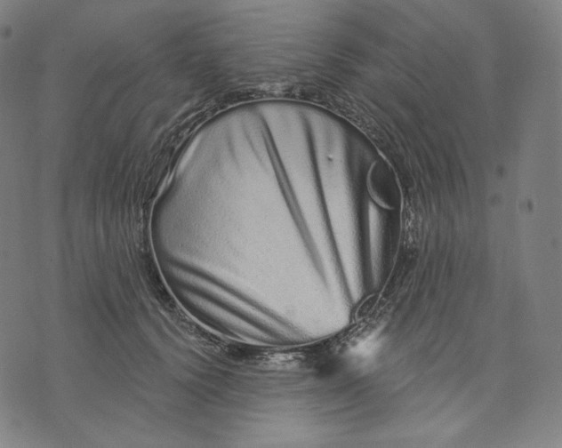 X0000074220656200609151622