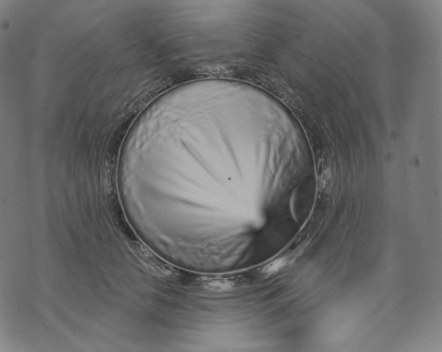 X0000074220658200609151622