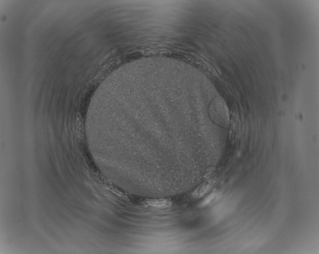 X0000074220659200609151622