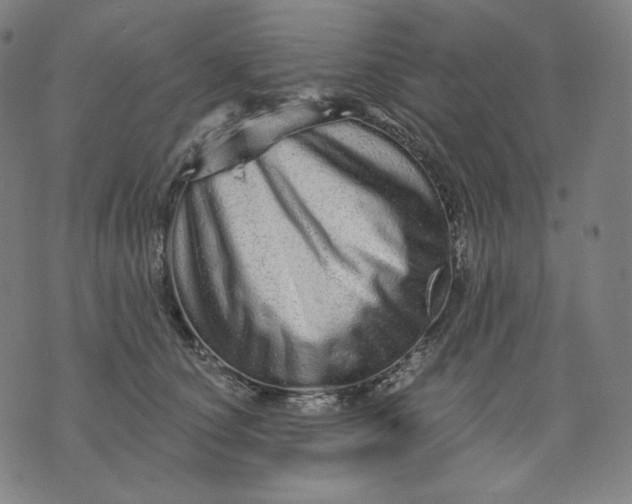 X0000074220660200609151622