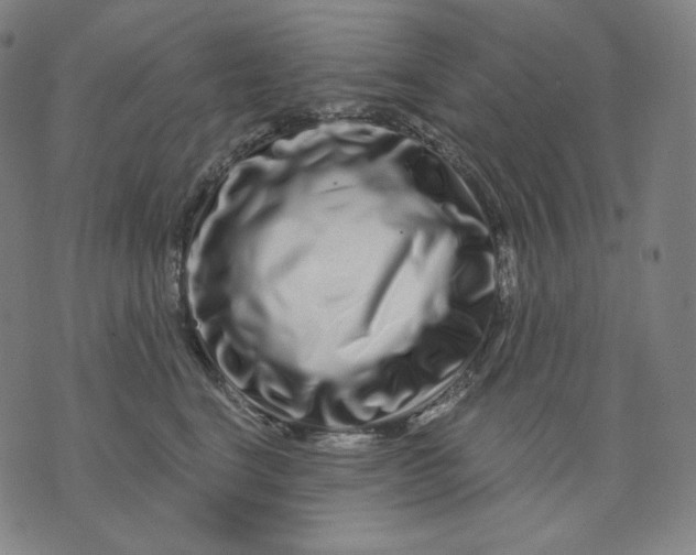 X0000074220664200609151622