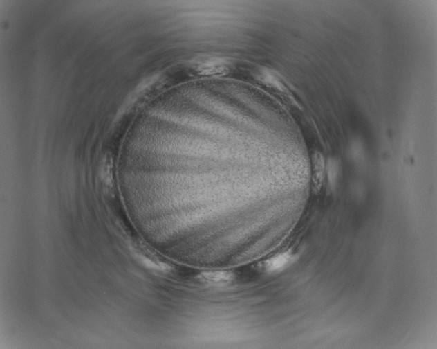 X0000074220667200609151622