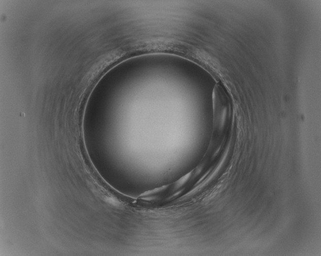 X0000074220673200609151622