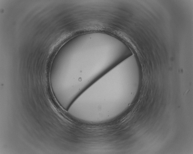 X0000074220677200609151622