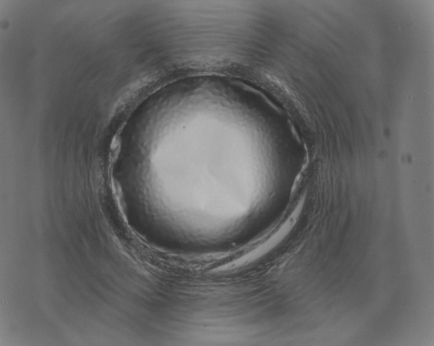 X0000074220688200609151622