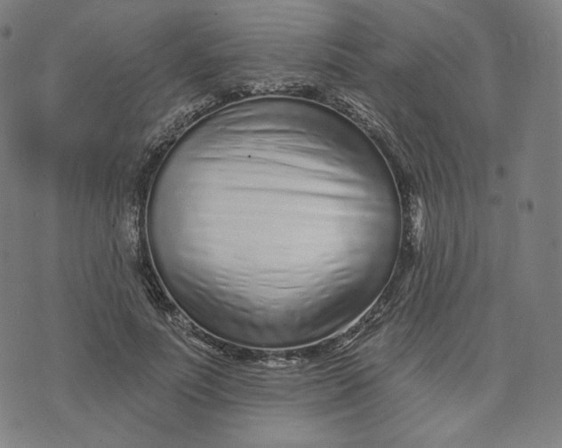 X0000074220691200609151622