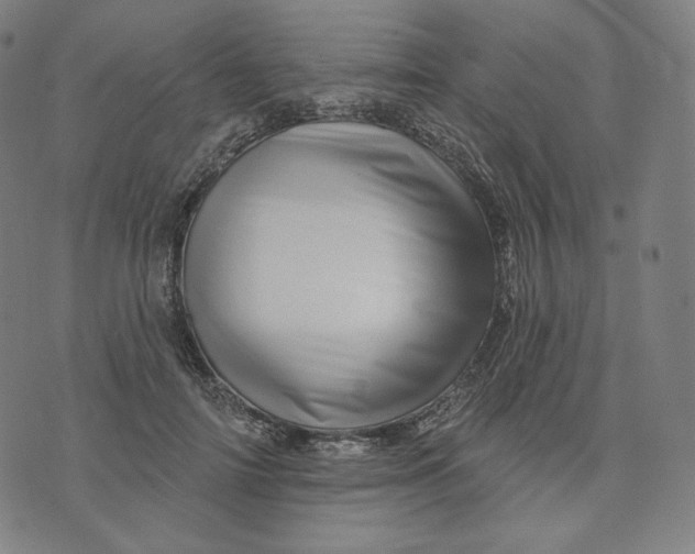 X0000074220698200609151621