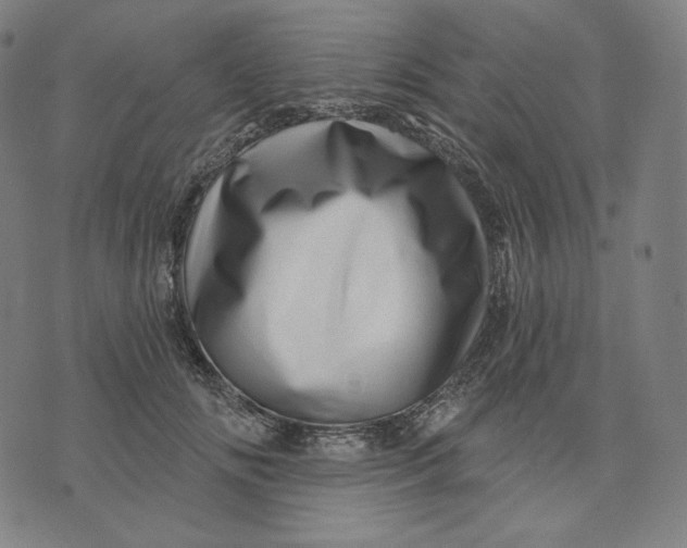X0000074220702200609151621