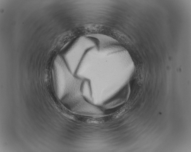 X0000074220706200609151621