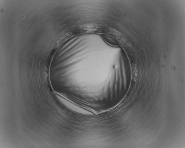 X0000074220707200609151621