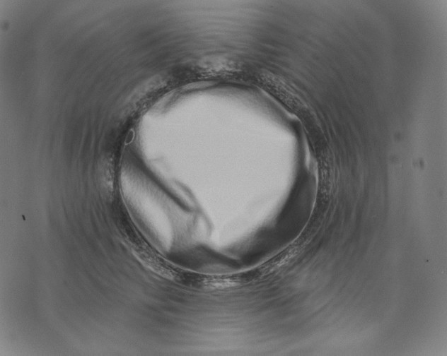 X0000074220710200609151621