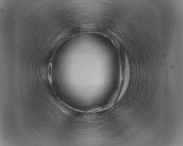 X0000074220712200609151621