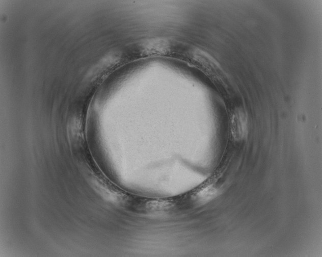 X0000074220714200609151621