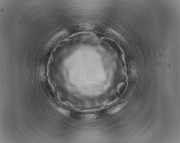 X0000074220745200609151621