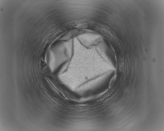 X0000074220748200609151621