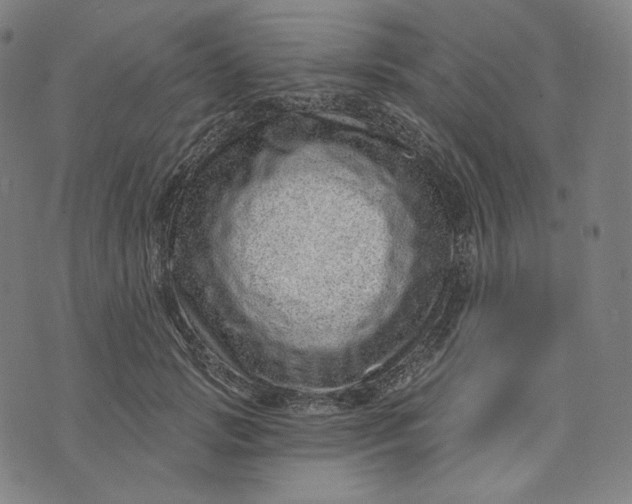 X0000074220749200609151621