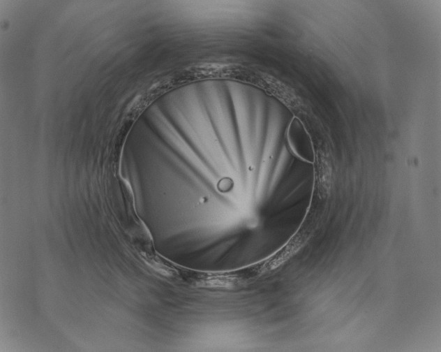 X0000074220758200609151621