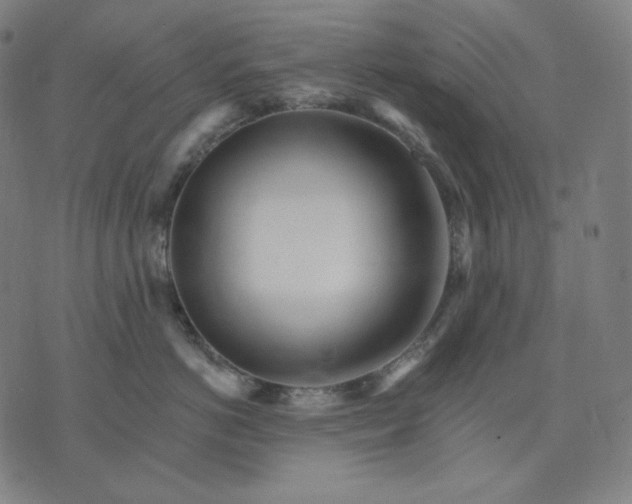 X0000074220766200609151621