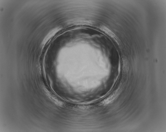 X0000074220782200609151620