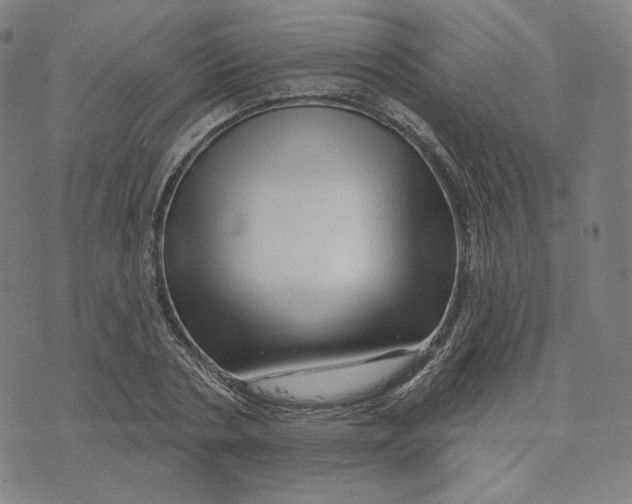 X0000074220786200609151620