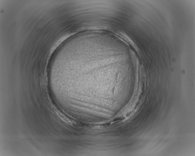 X0000074220787200609151620