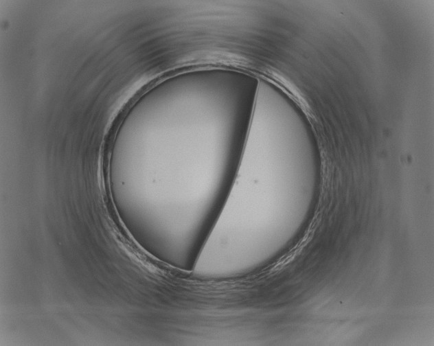 X0000074220788200609151620