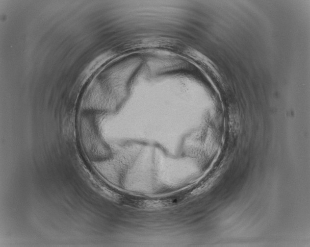 X0000074220794200609151620