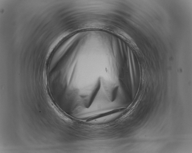 X0000074220796200609151620