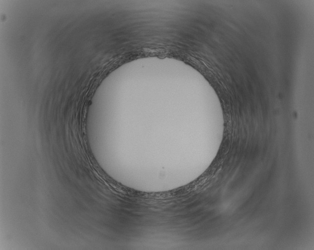 X0000074220817200609151619