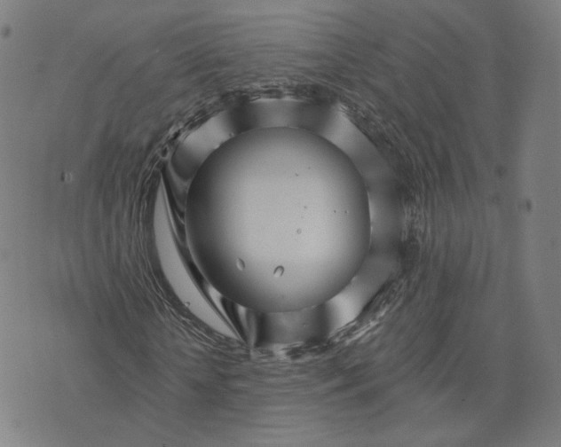 X0000074220818200609151619