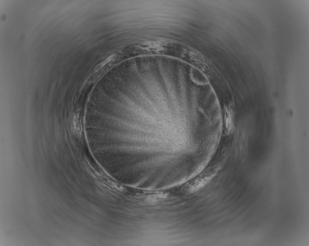 X0000074220819200609151619
