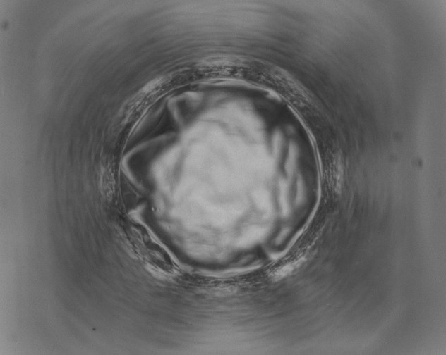 X0000074220821200609151619