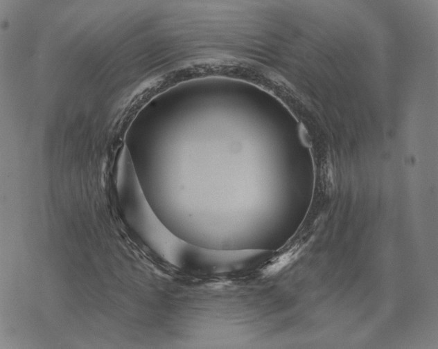 X0000074220822200609151619