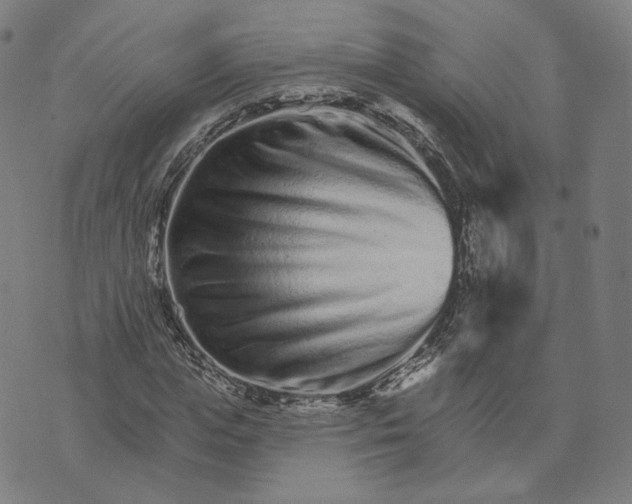 X0000074220823200609151619