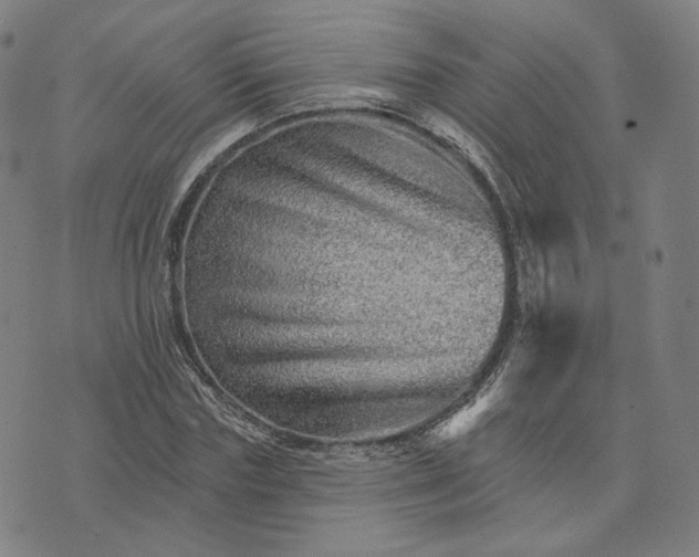 X0000074220827200609151619