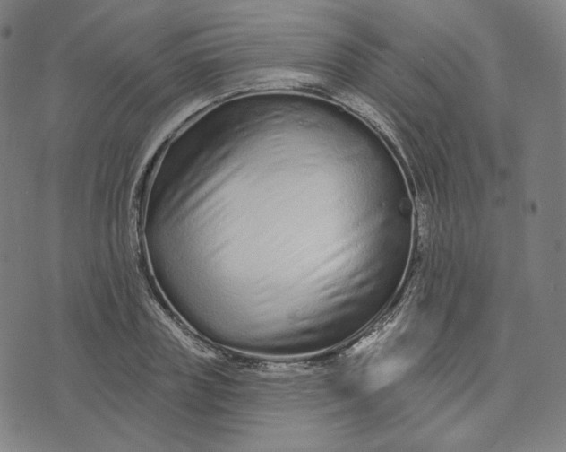 X0000074220835200609151619