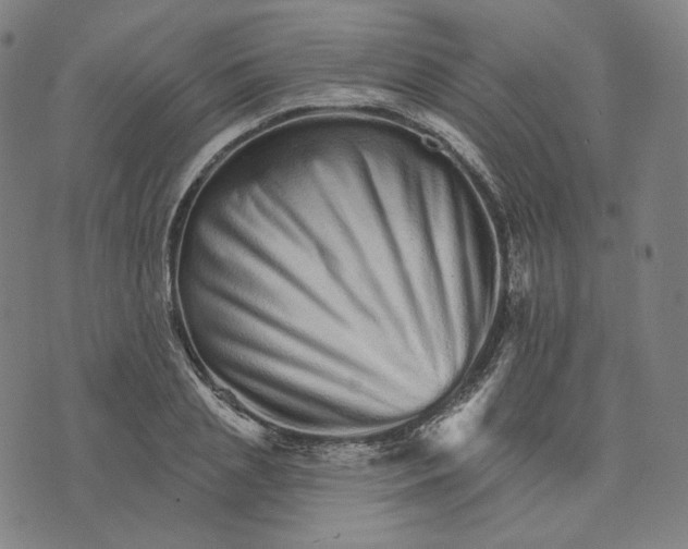 X0000074220837200609151619
