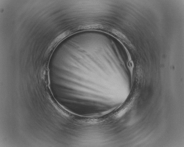 X0000074220841200609151619