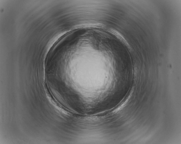 X0000074220844200609151619