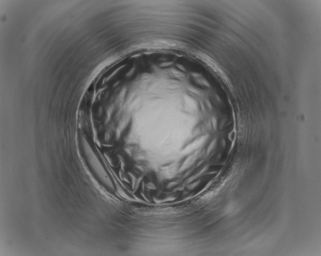 X0000074220845200609151619